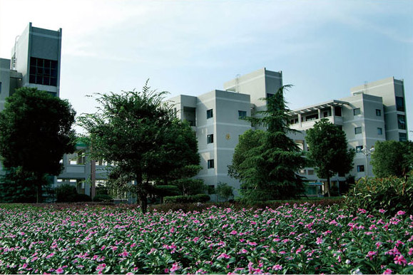 1577159381383456.png 东阳中学1.png